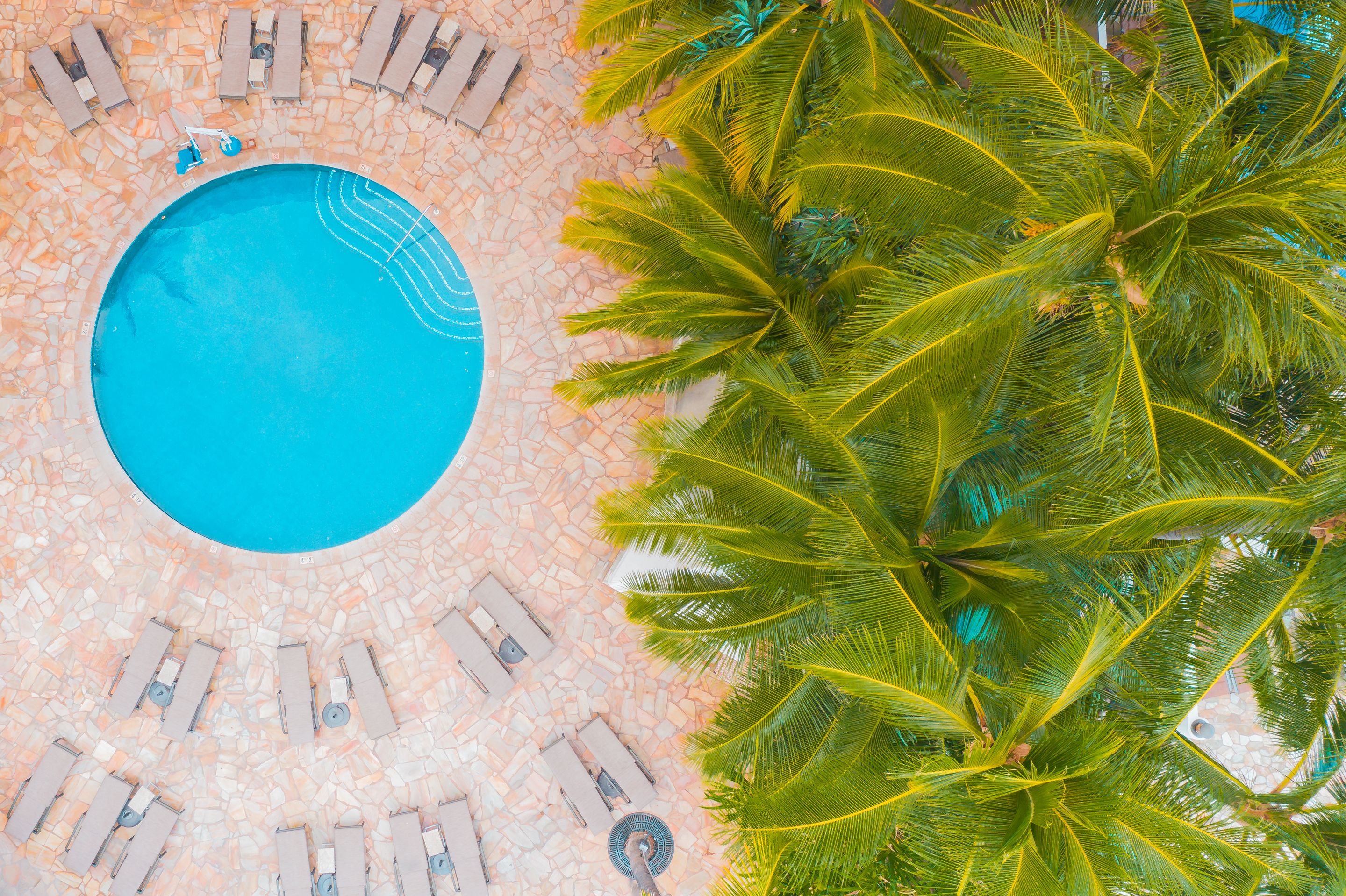 Overhead view of a circular swimming pool ringed by coconut palms